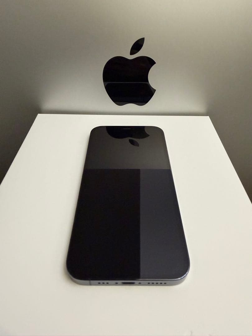 スマートフォン本体 iPhone12Pro 128GB
