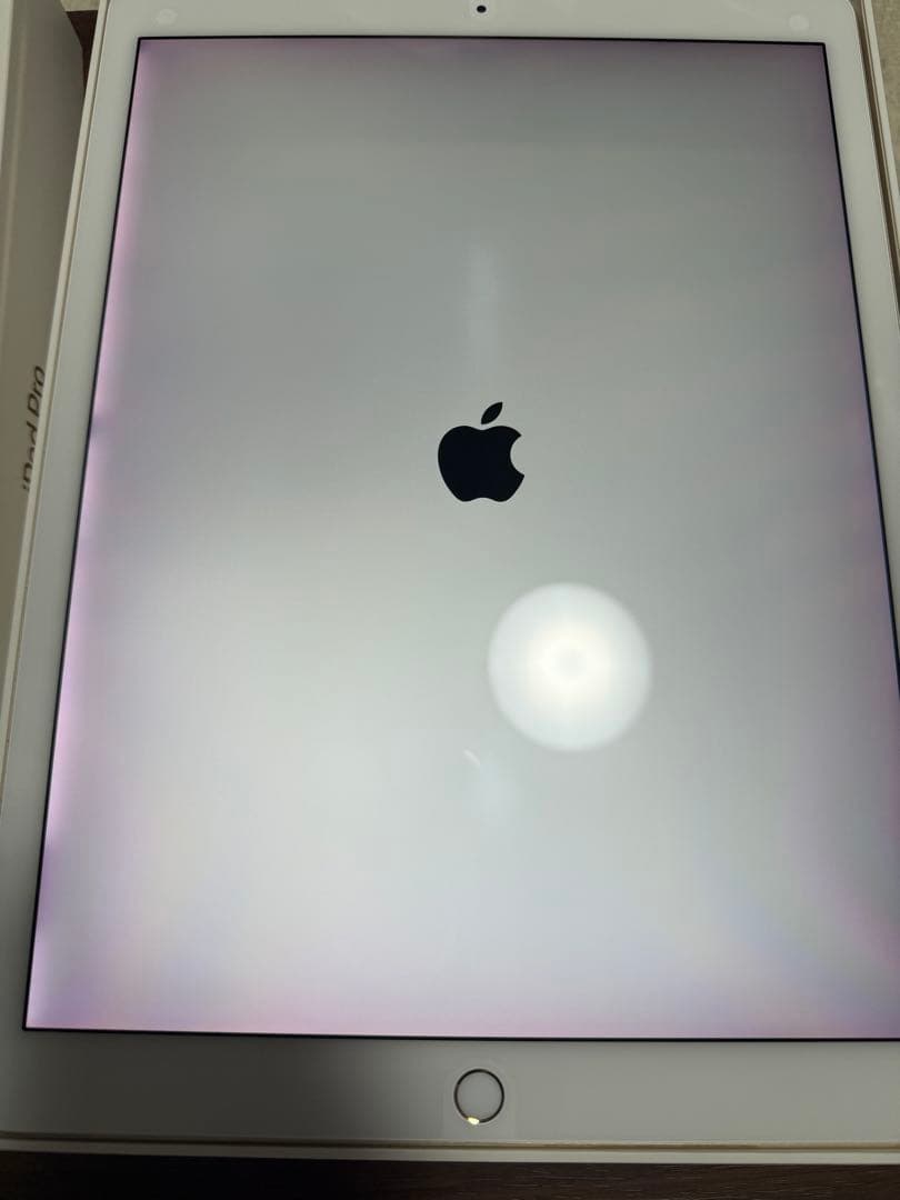 iPad Pro 12.9 第2世代 セルラー 256GB pencil