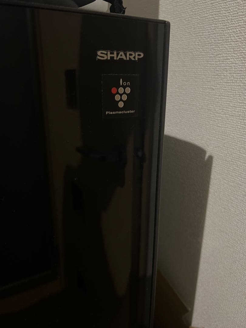 こーた様