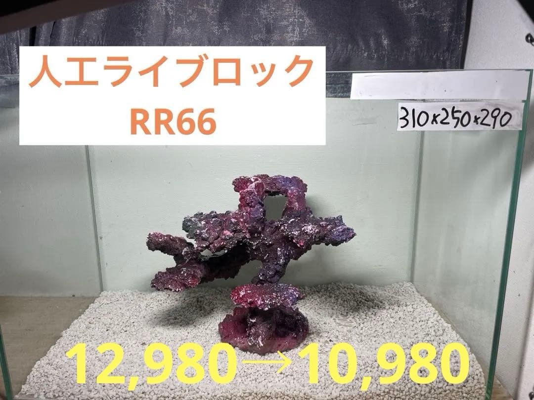 現物在庫SALE！人工ライブロック RR66 アク抜き済み安心塗料使用