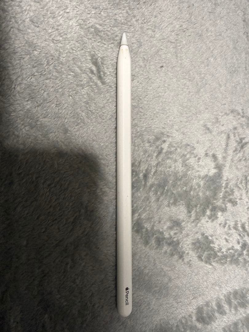 iPad Pro 12.9-inch 512GB＋Apple Pencil＋α