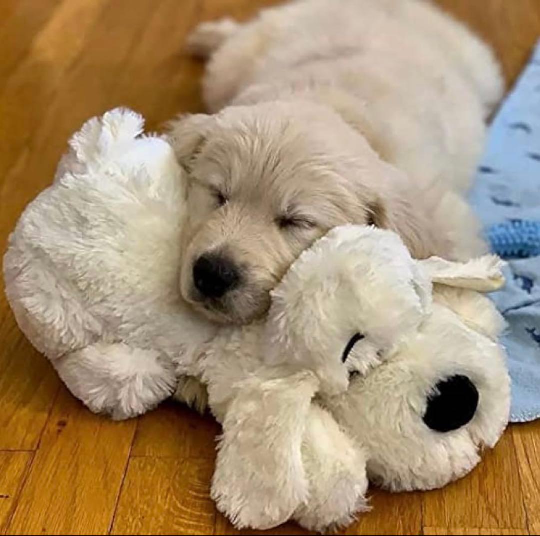 Smart Pet Love 子犬のぬいぐるみおもちゃ鼓動ペットの不安を解消