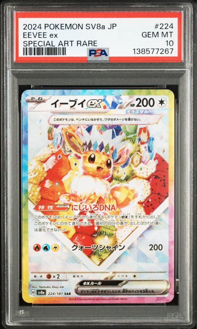 【 PSA10.10連番】ブイズ　SAR テラスタルフェスex ブラッキー
