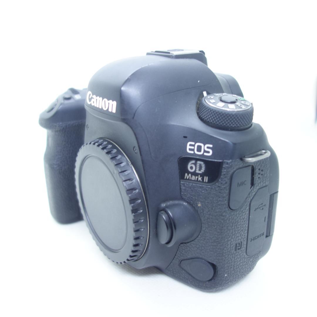 撮影枚数少★Canon EOS 6D Mark II デジタル一眼レフ ボディ