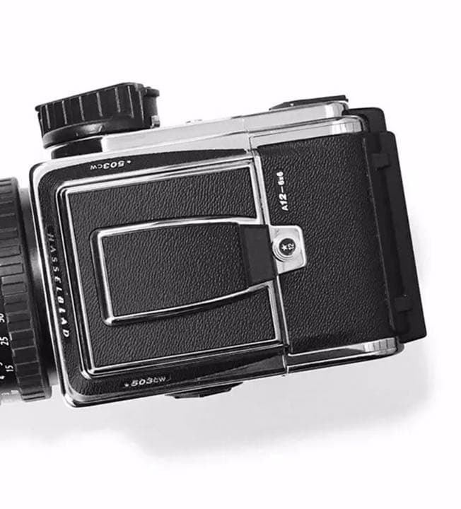 青 HASSELBLAD 503CWBodyとA12フィルムマガジン皮を飾ります