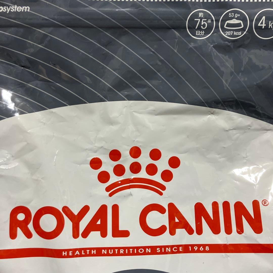 ロイヤルカナン　ダイジェスティブケア 成猫用 4kg　２袋　合計8kg