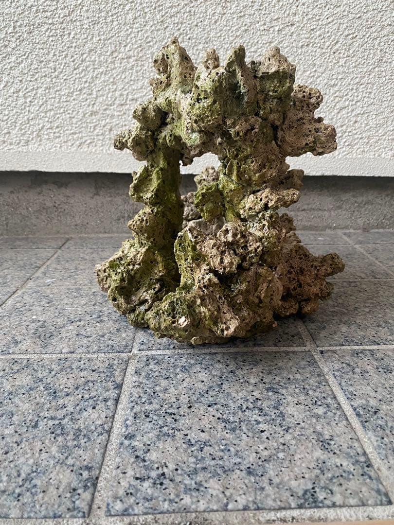 珊瑚　珊瑚礁　デスロック　ライブロック　アクアリウム　海水魚　淡水魚