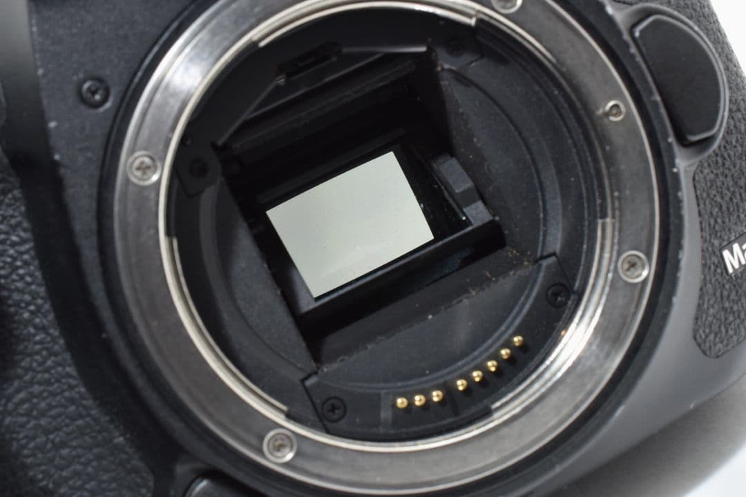 Canon EOS 7D Mark II マーク 2 ボディ
