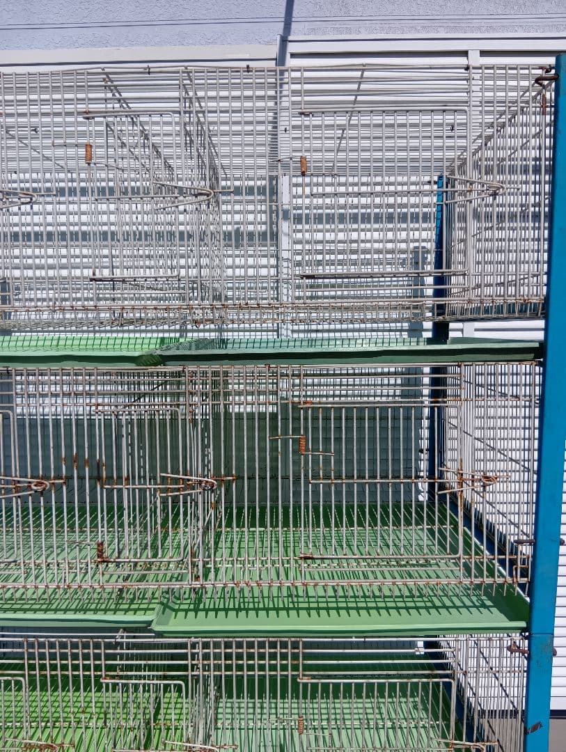 組み立て式　８ペアー用素引きゲージ　レース鳩　小動物交配　繁殖簡単　 愛鳩の友