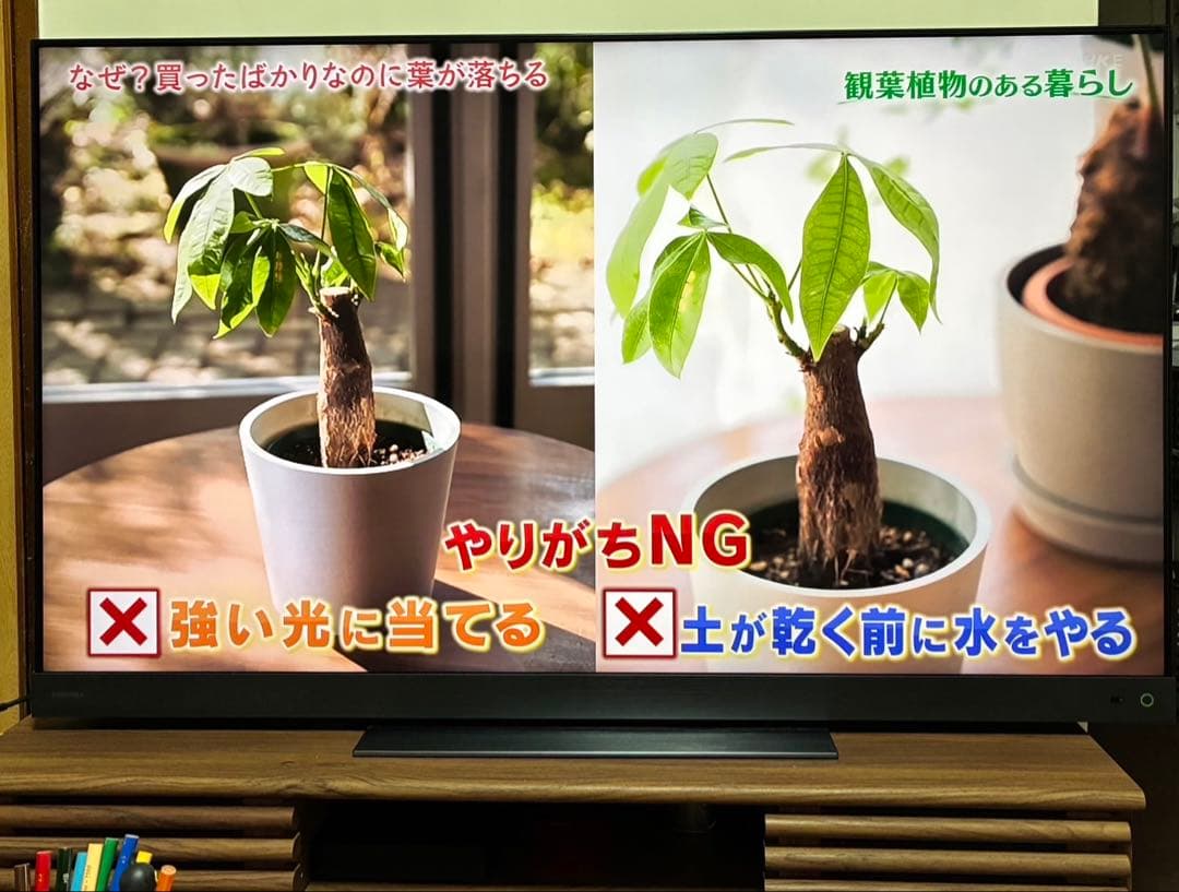 【沖縄本島内引取り限定】東芝REGZA 55インチ4K液晶テレビ外付けHDD付属