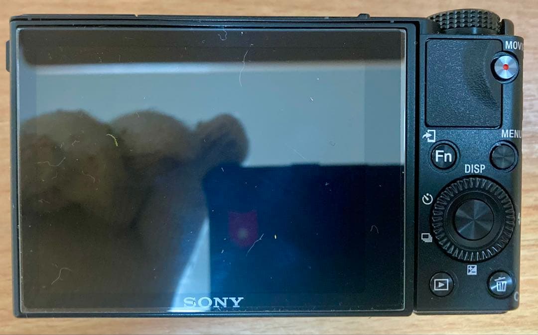 SONY Cyber-shot DSC-RX100M5 A【予備電池、SD付】