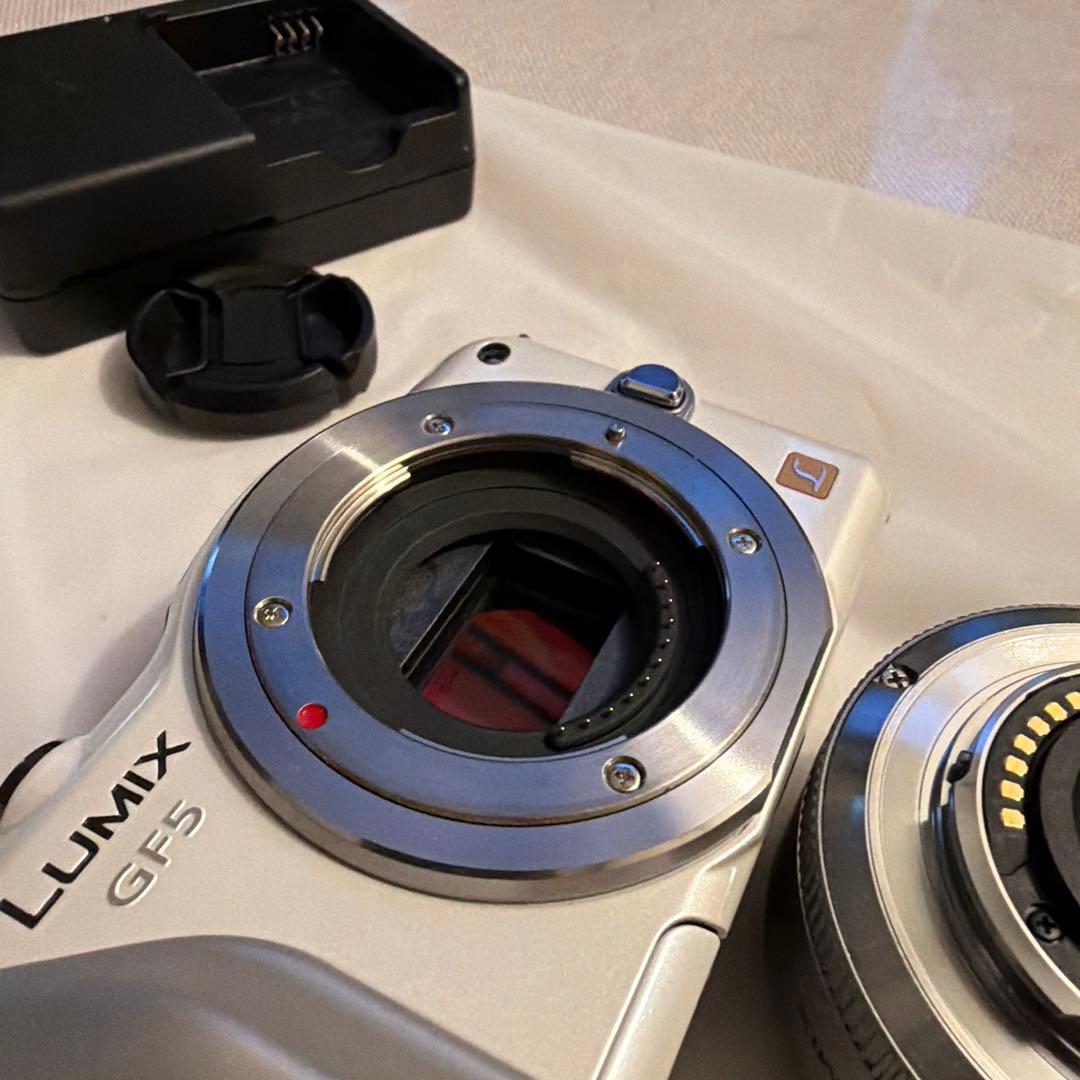 Panasonic DMC-GF5 コンパクトデジタルカメラ_1