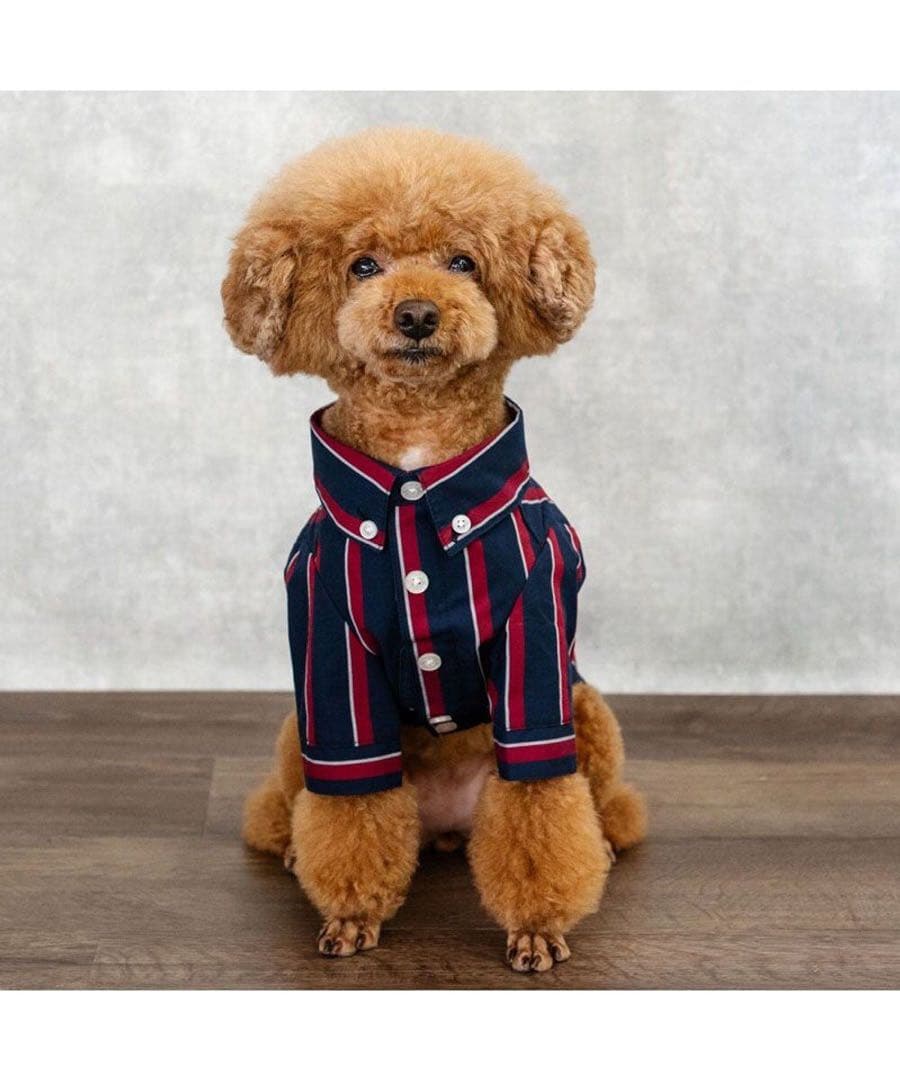 【新品・未使用タグ付き】J.PRESS レジメンタル シャツ 小型犬