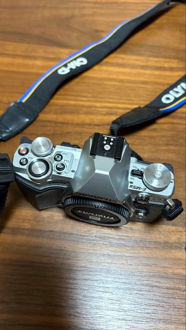 OLYMPUS OM-D E-M10 オリンパス　ミラーレス一眼