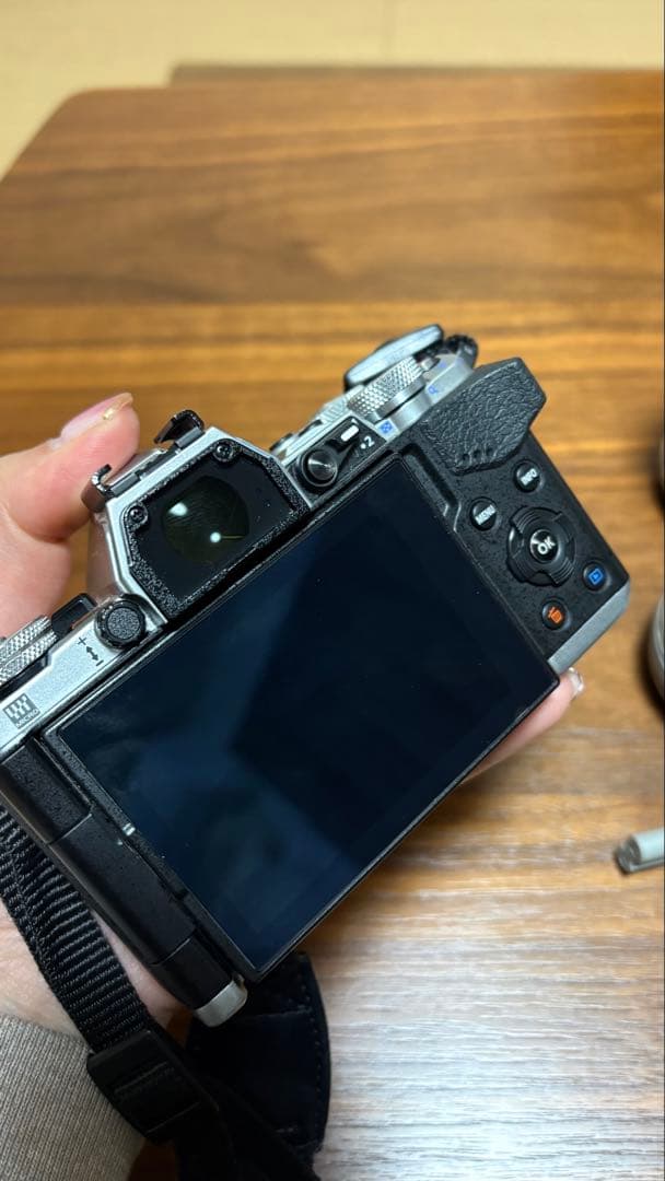 OLYMPUS OM-D E-M10 オリンパス　ミラーレス一眼