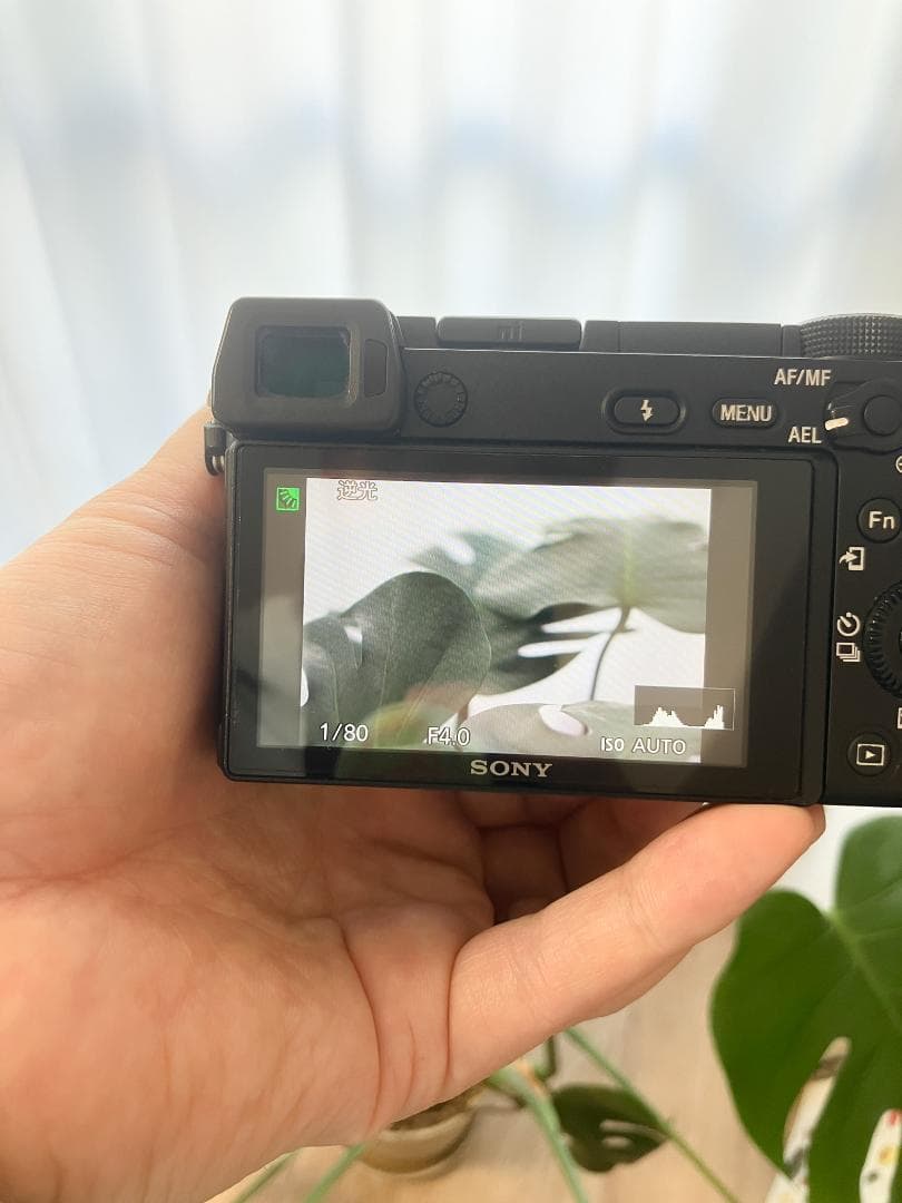 SONY α6300と単焦点レンズセット（純正バッテリー＋純正チャージャー付き）