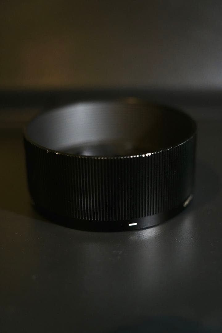 sigma 45mm f2.8 dg dn eマウント
