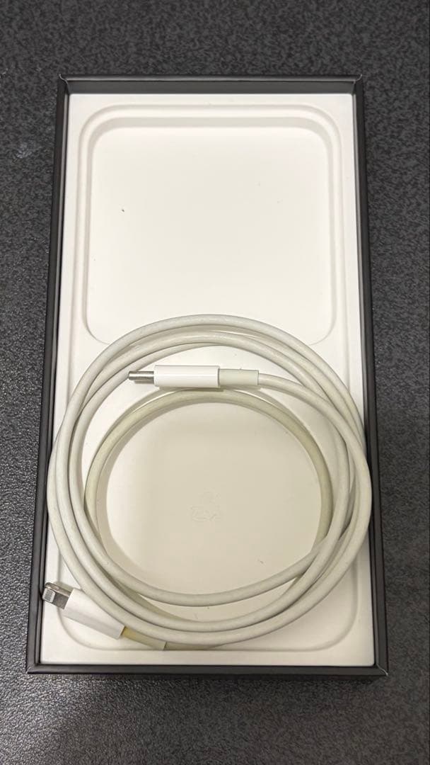 Apple iPhone 13Pro グラファイト