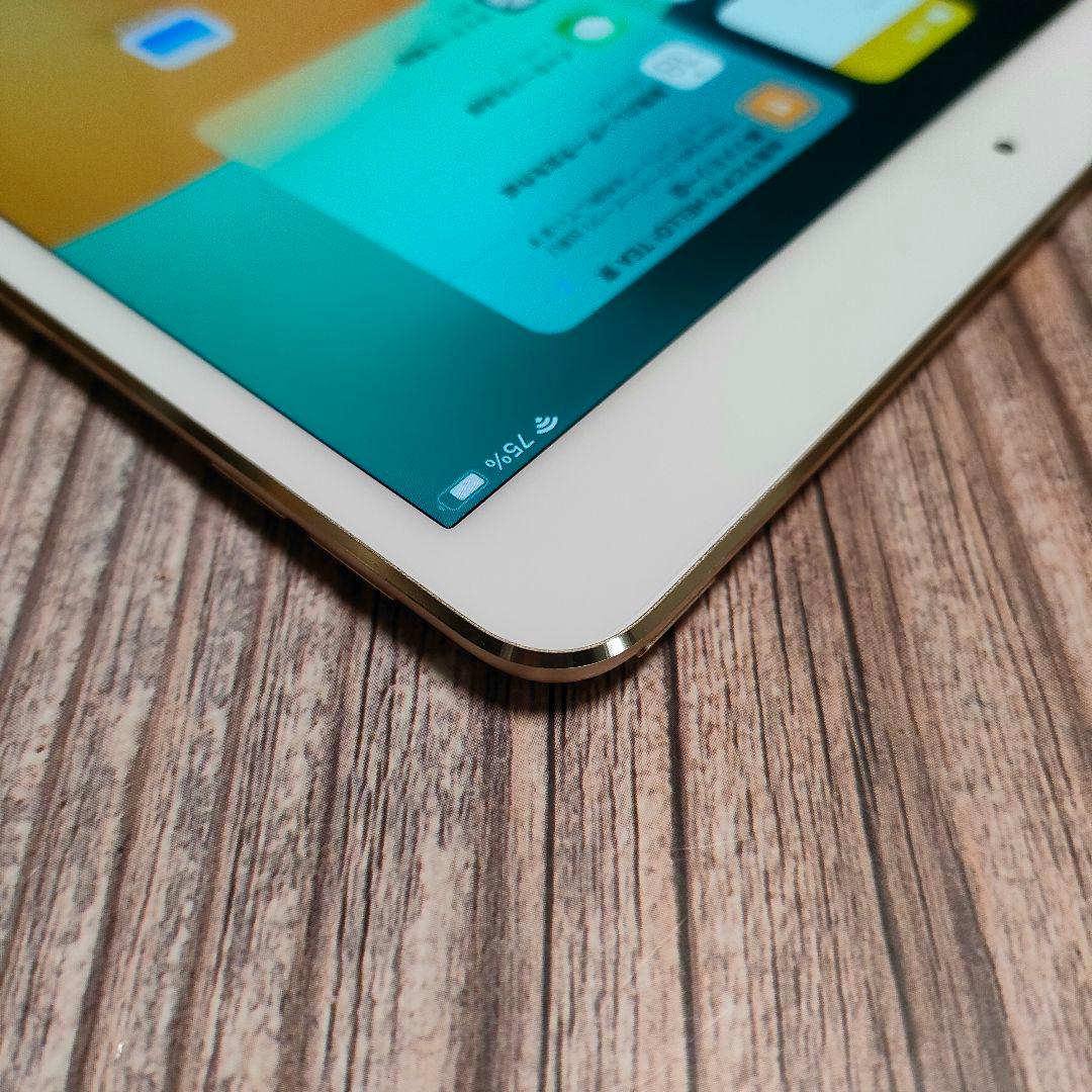 iPad Pro 10.5インチ 512GB ゴールド 美品