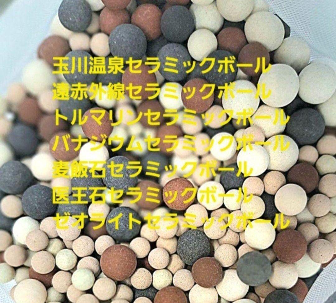 3月8日迄感謝限定価格　温浴器ステンレス製直径20cm
