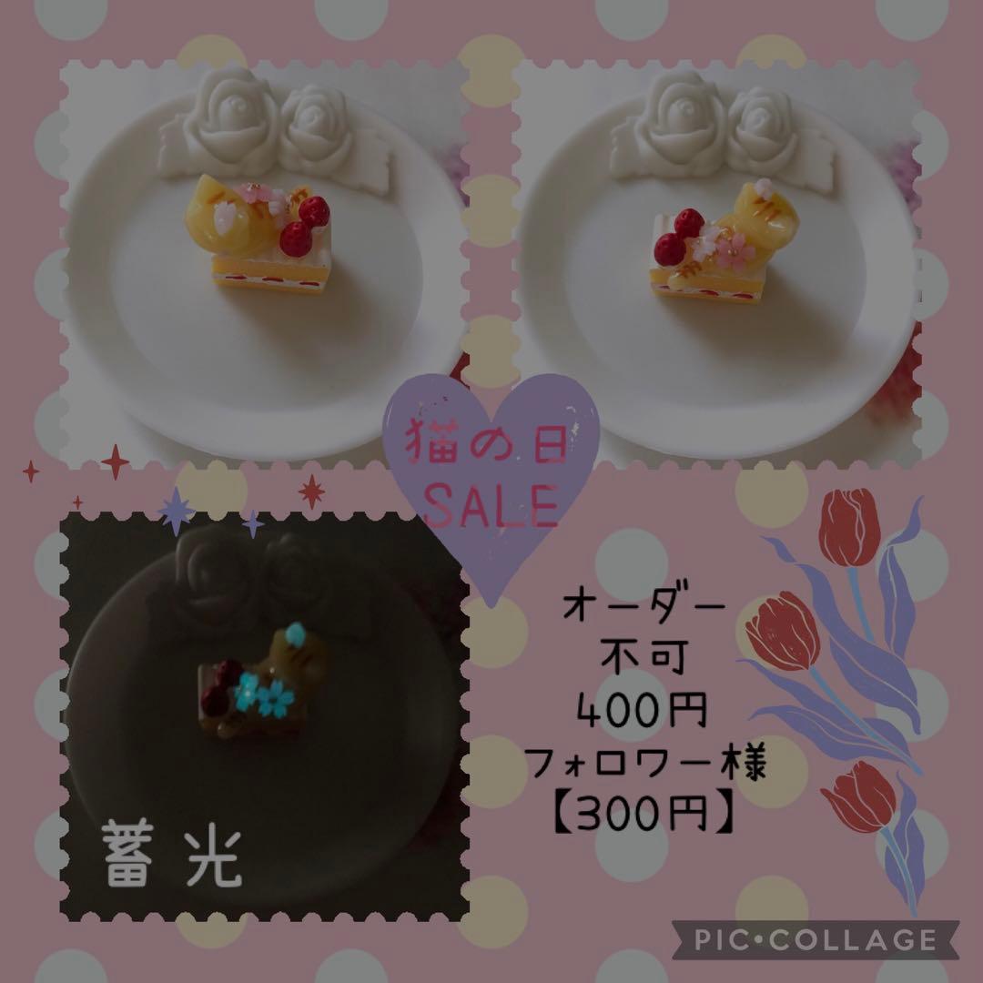 ショートケーキとおすわりねこちゃん　とらねこ×桜