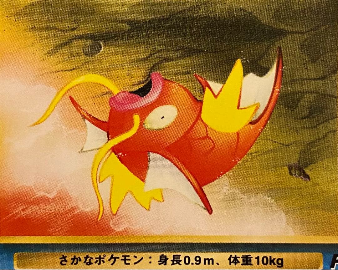 コイキング 旧裏 No.129 拡張パックロケット団 1997 はねまわる