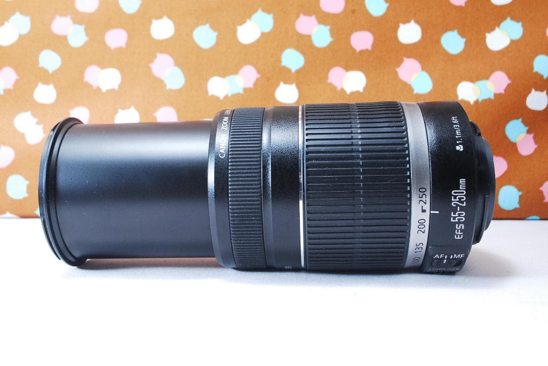 ✨手振れ補正付き望遠✨Canon EF-S 55-250mm F4-5.6 IS