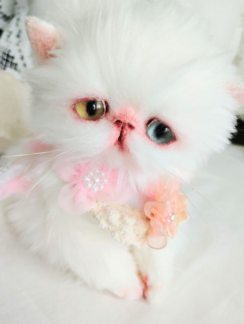 短足ぽってり♡オッドアイ子猫ちゃん♡アートドール♡ぬいぐるみ♡