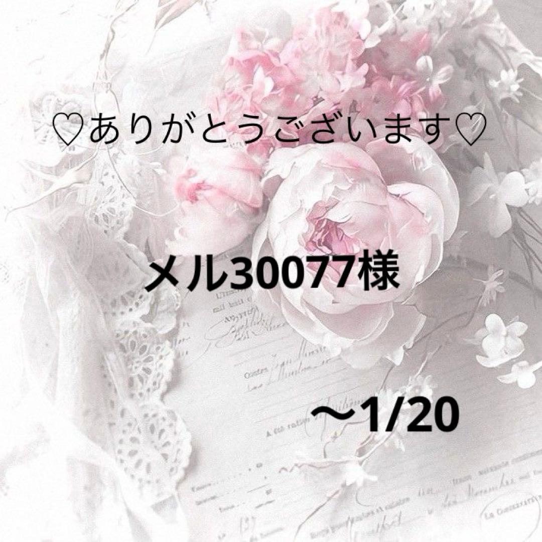 メル30077様　レジンヘアゴム ポニーフック　ドライフラワー　No.321
