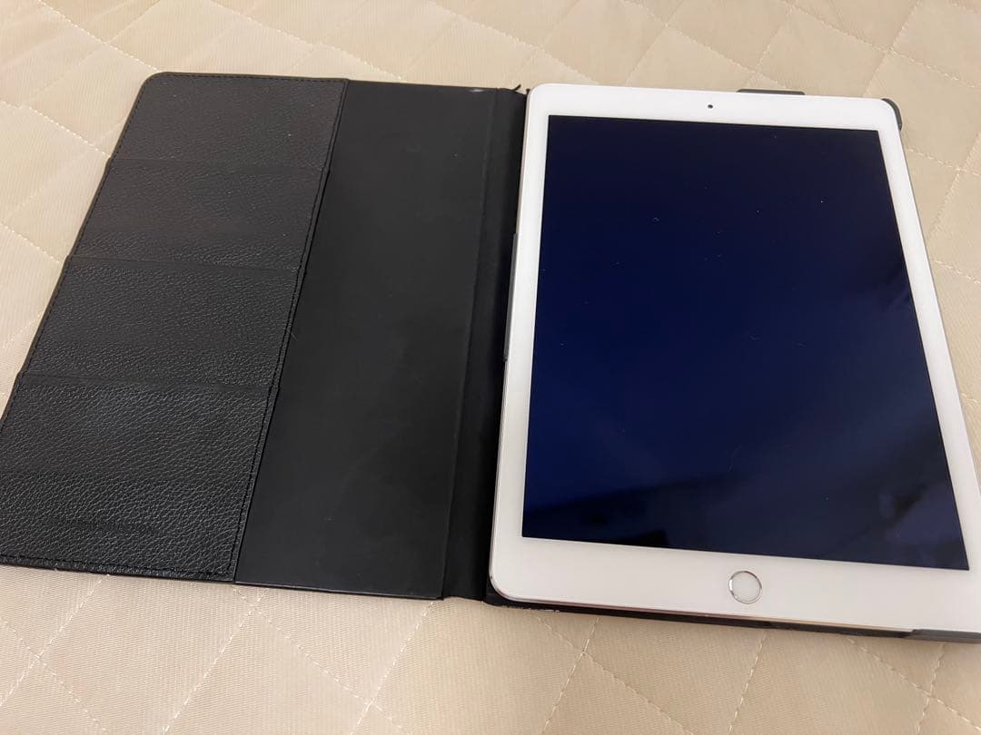 iPad Air2 第2世代 16GB A1567 ケース付き　スペースグレイ