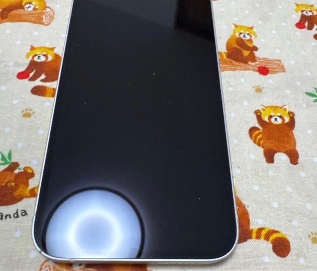 iPhone 12 （値下げは出したばかりなので500円のみ可能