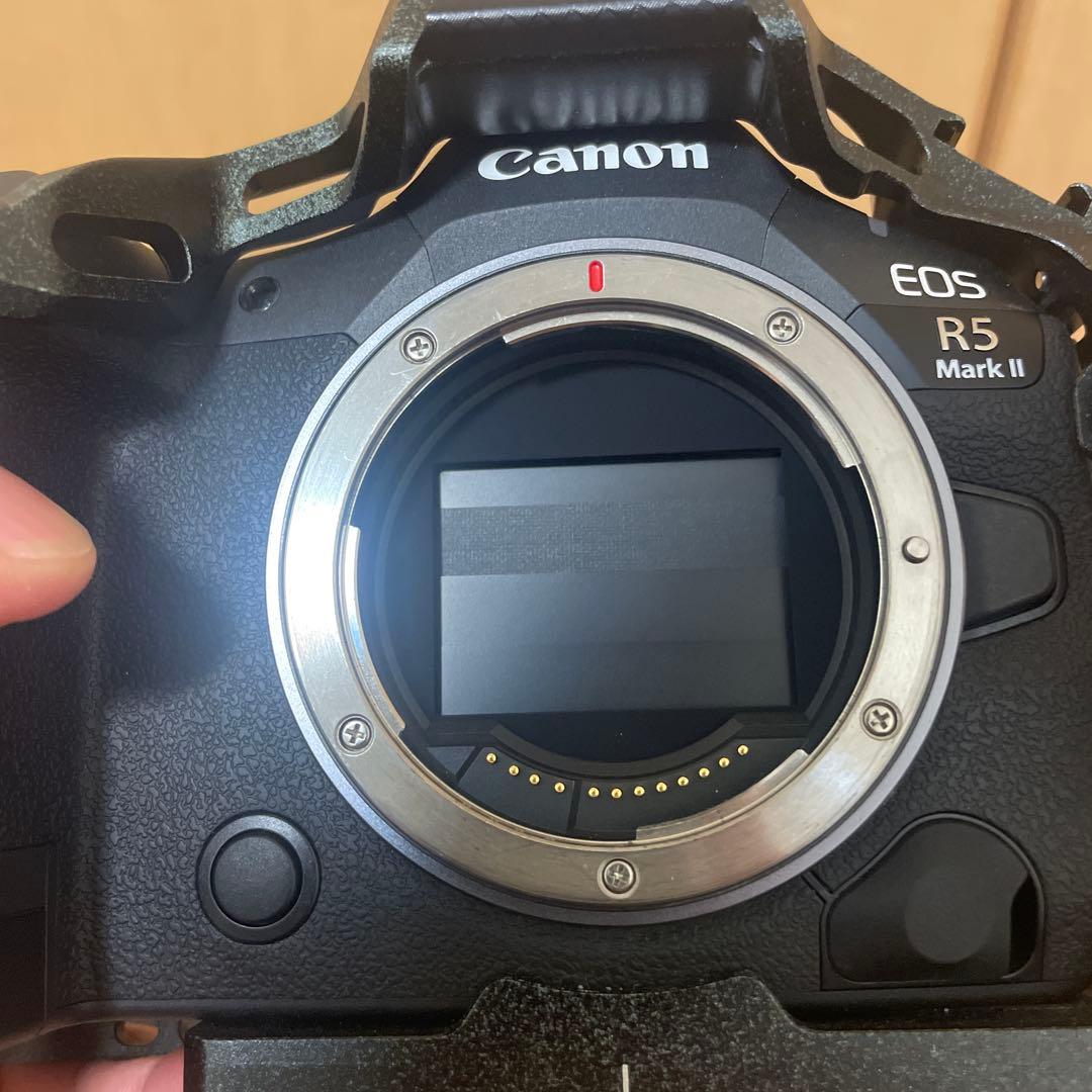 【美品】Canon EOS R5 Mark II + SmallRigケージ