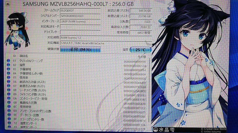 Samsung MZVLB256HAHQ-000L7 256GB SSD 3枚組