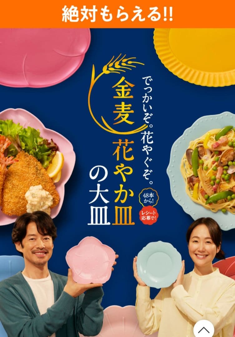 花やか皿 240本分