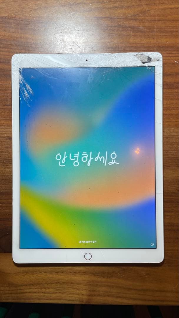 【動作品】iPad Pro12.9インチ Wi-Fi 128GBゴールド