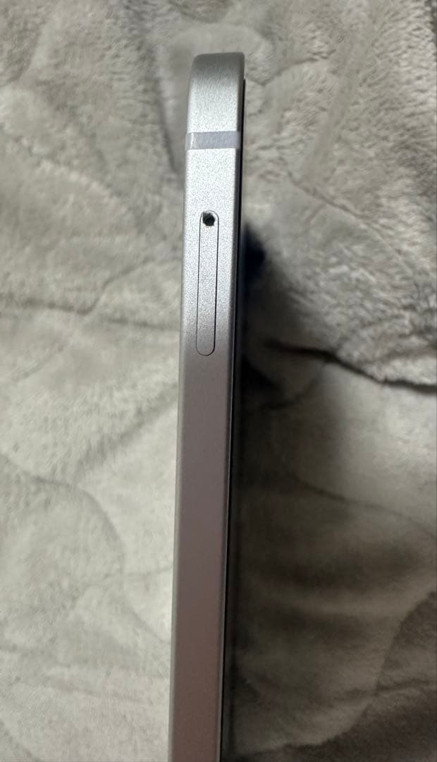 iPad Pro 11インチ（第1世代）Wifi+Cellular 256GB