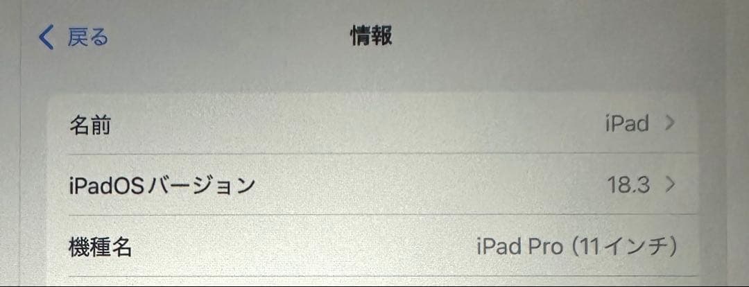 iPad Pro 11インチ（第1世代）Wifi+Cellular 256GB