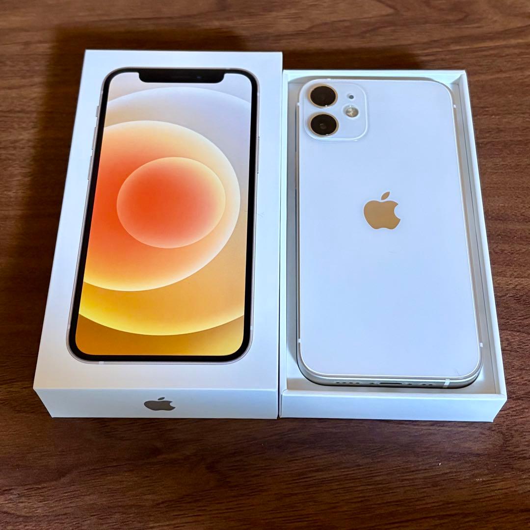 Apple iPhone 12 mini 256GB オマケ多数 SIMフリー