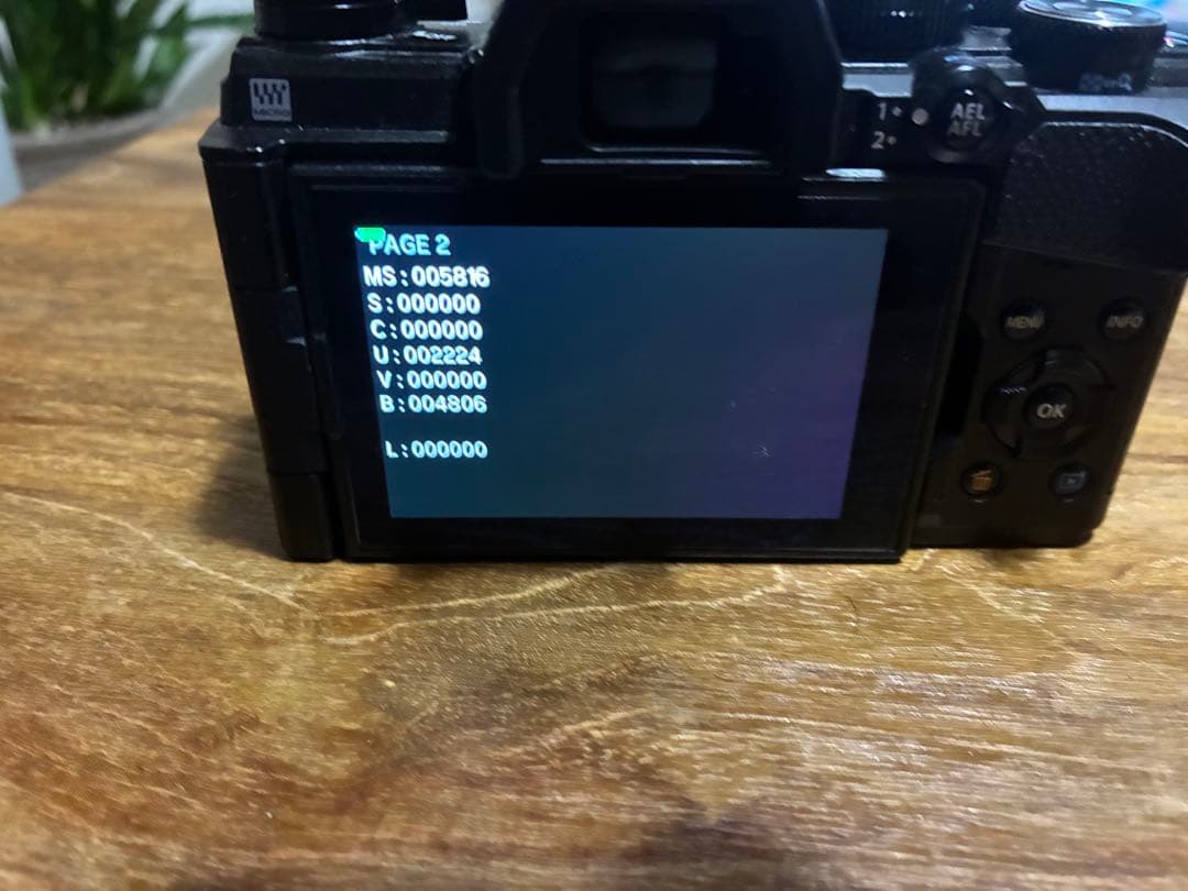 OLYMPUS OM-D E-M5 MarkⅢ ショット回数6,000回
