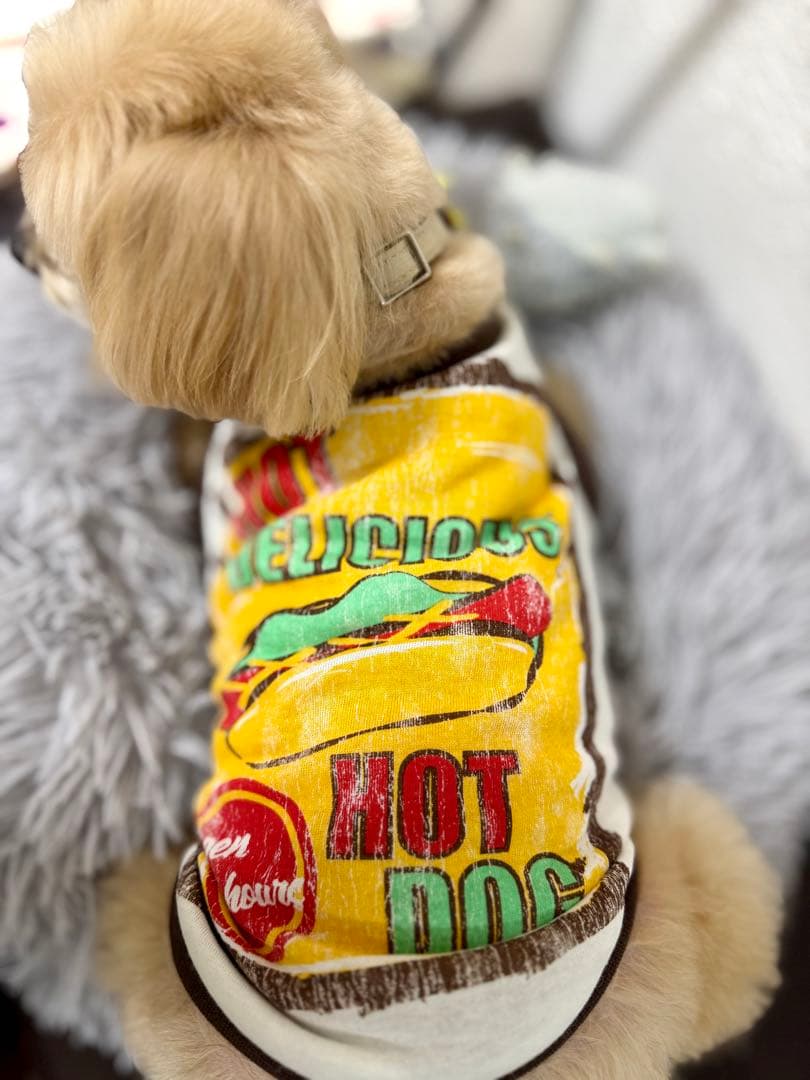 新品リメイク品 HOTDOG柄