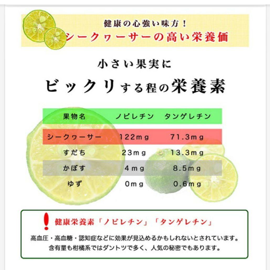 沖縄シークワーサー100%ジュース2000ml 2本セット