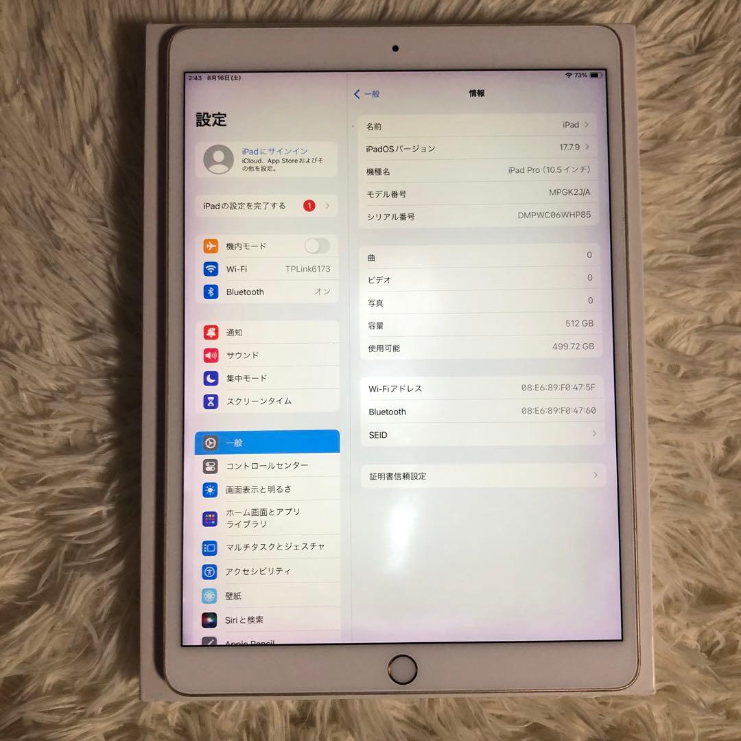 【ラスト1台】iPad Pro 10.5 512GB 【すぐ発送】