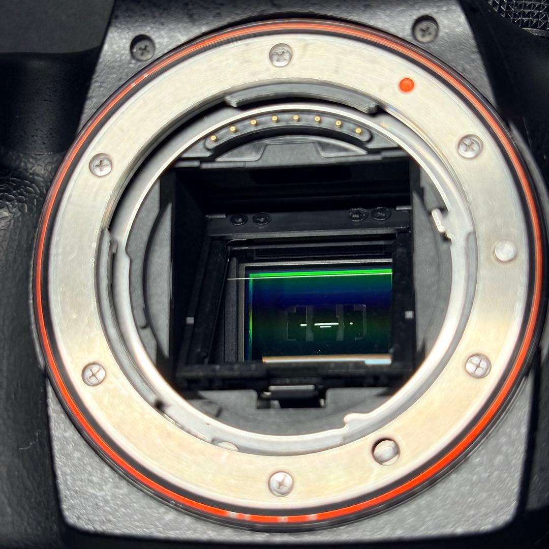 SONY α65 ボディ SLT-A65V デジタル一眼カメラ ソニー