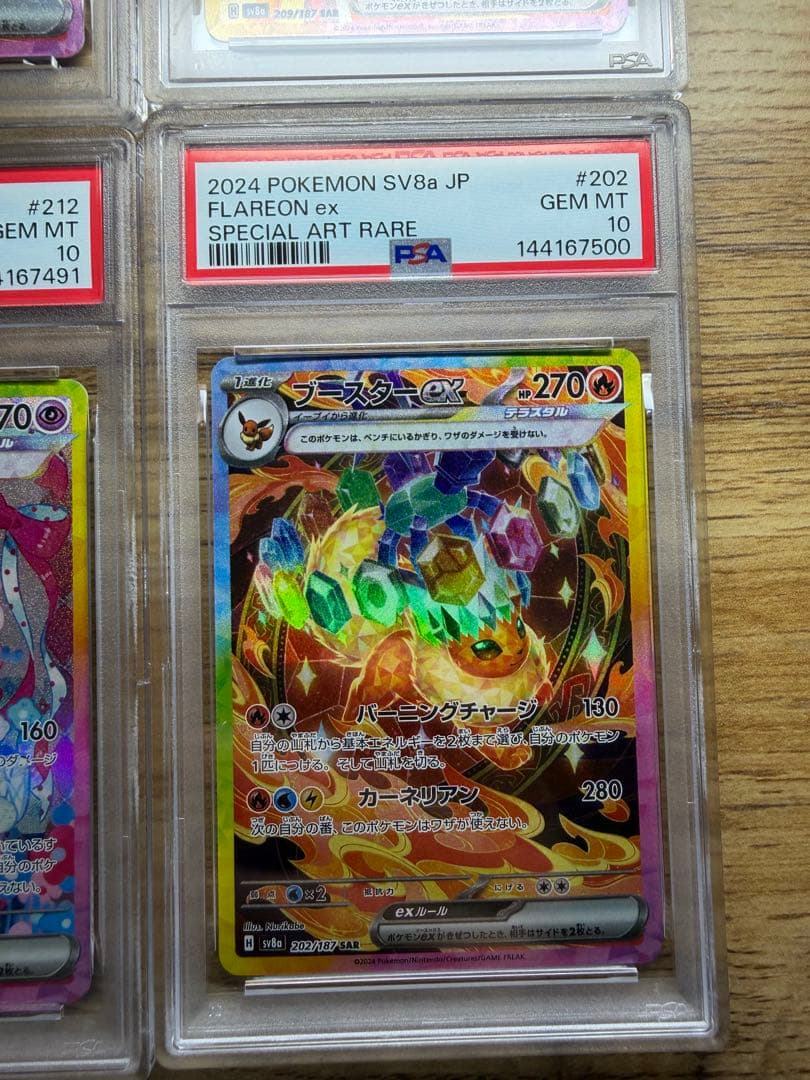 新 PSAケース PSA10 10枚ex ブイズSAR PSA10セット