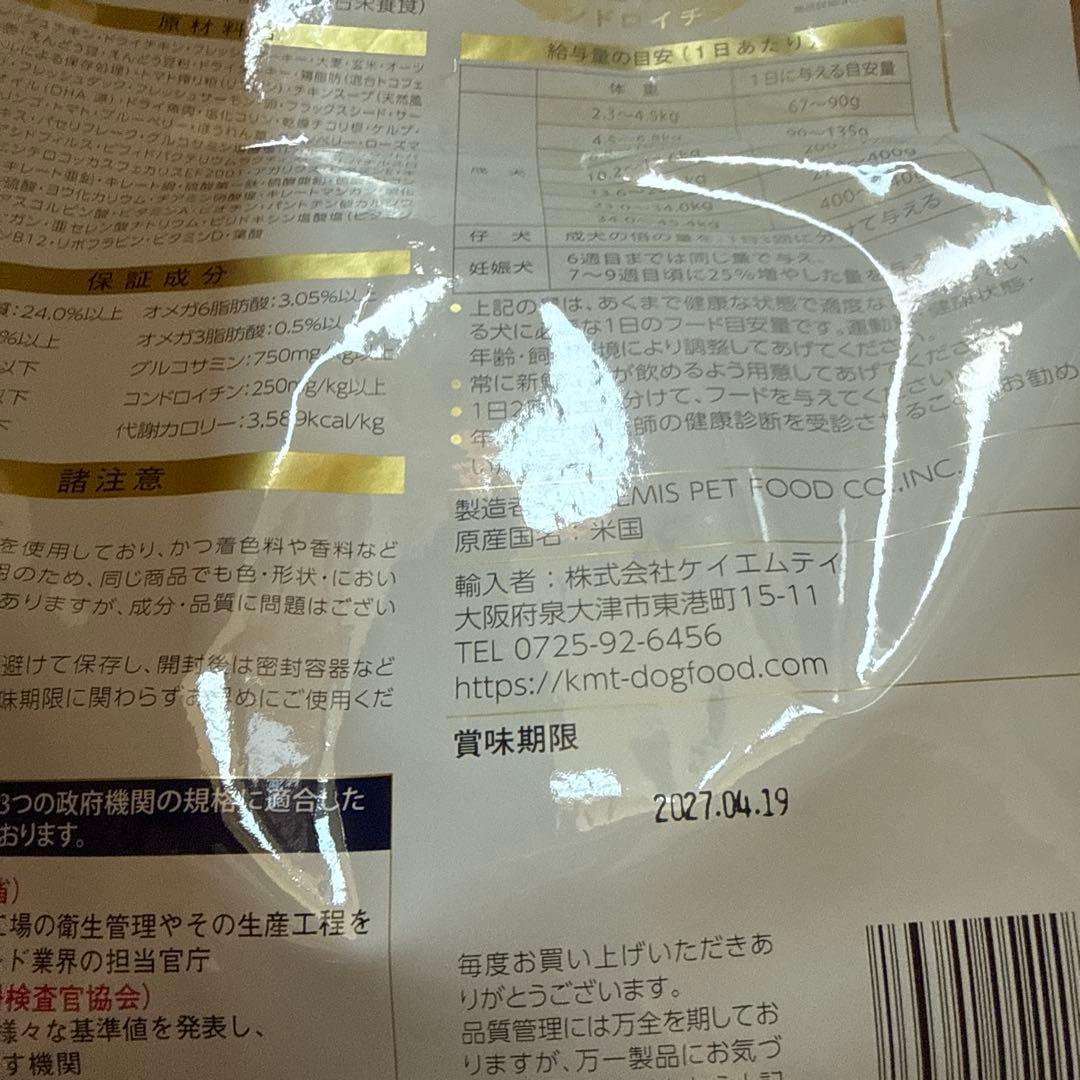 豆猫