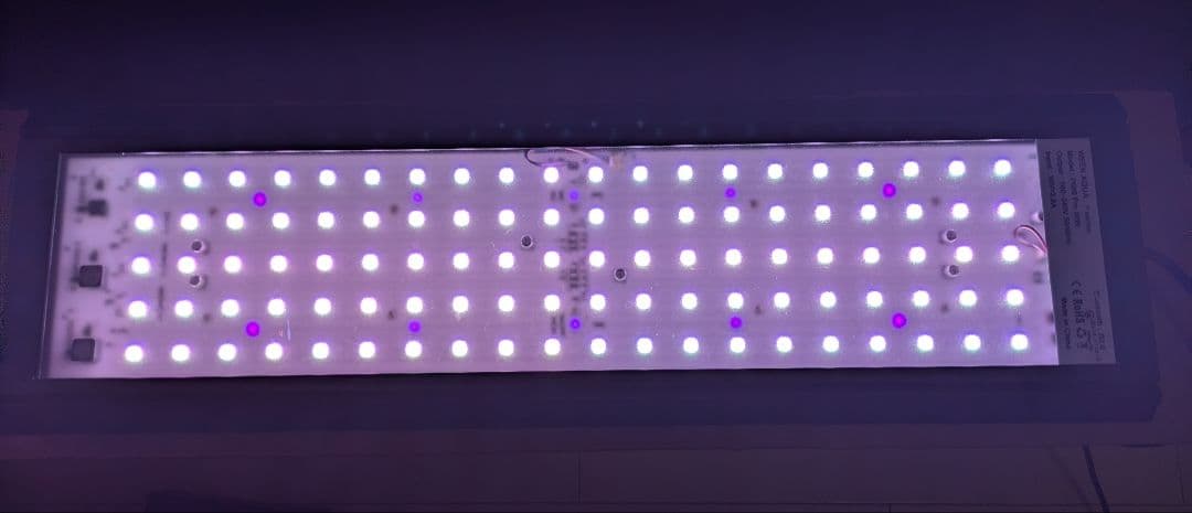 WEEK AQUA ウィークアクア P600 Pro LEDライト