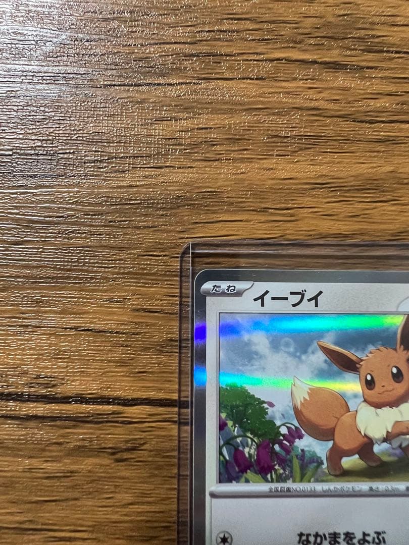 ポケモンカード教室　プロモカード　イーブイ
