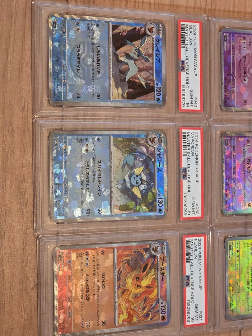 マスボミラー　ブイズ　psa10 連番　テラスタルフェス　ブラッキー