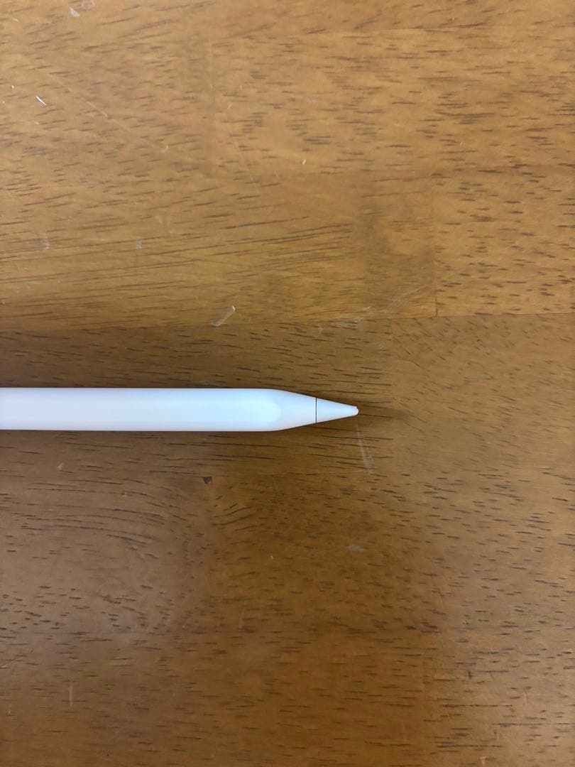 iPadアクセサリー Apple Pencil (usb-c)