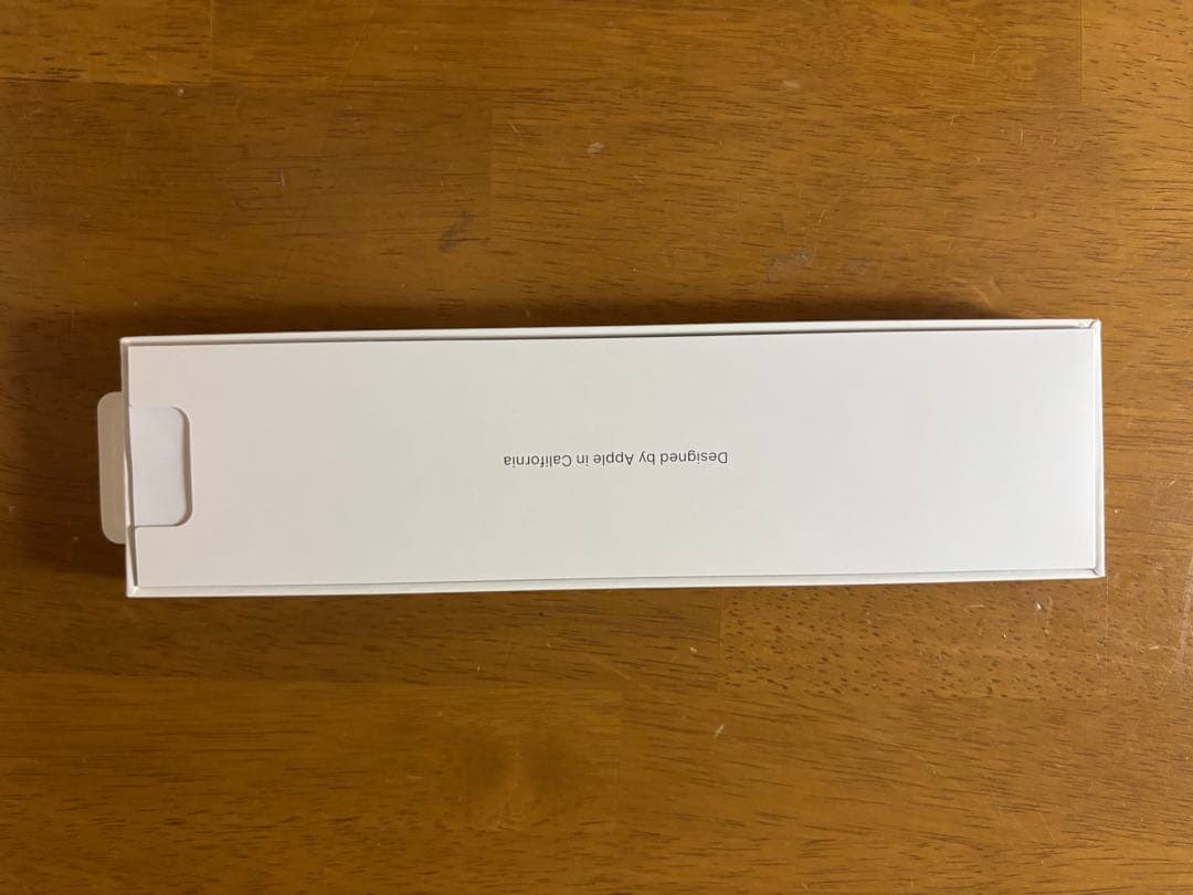 iPadアクセサリー Apple Pencil (usb-c)